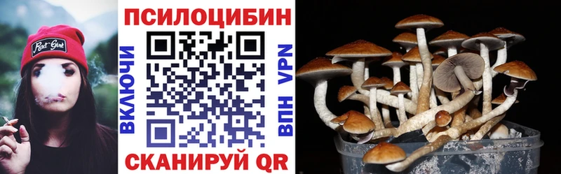 сколько стоит  Новоржев  Галлюциногенные грибы прущие грибы 