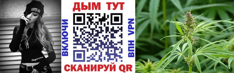 Бошки Шишки ГИДРОПОН  Новоржев 